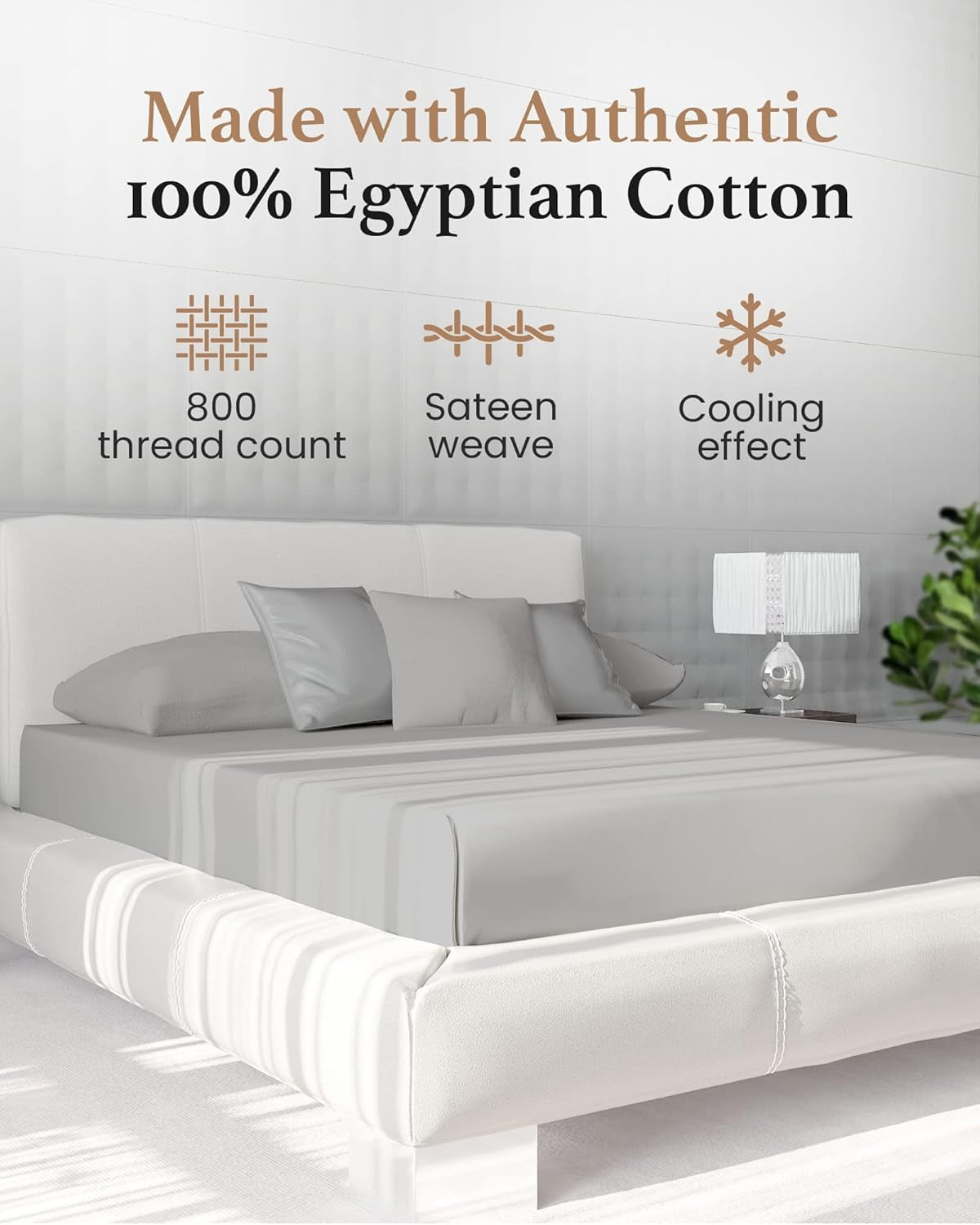 Queen Fitted Sheet - 100% Egyptian Cotton, 800 TC Soft & Breathable, Luxury Deep Pocket 16" - Light Grey