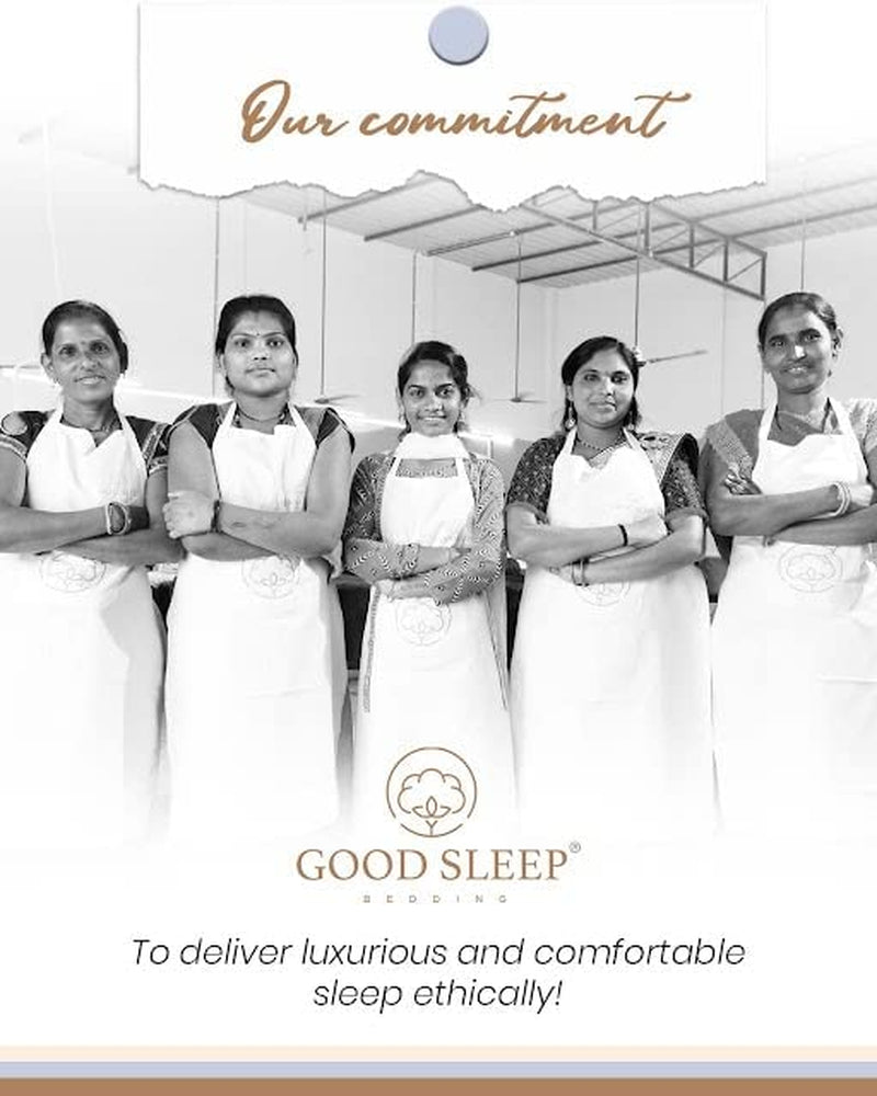 Queen Fitted Sheet - 100% Egyptian Cotton, 800 TC Soft & Breathable, Luxury Deep Pocket 16" - Light Grey